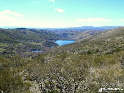 Pinar de Abantos y Zona de la Herrería del Real Sitio de San Lorenzo de El Escorial;federacion de mo